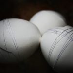 Louise Shaw ‘Made Tender’ eggshells _ cotton thread 2019